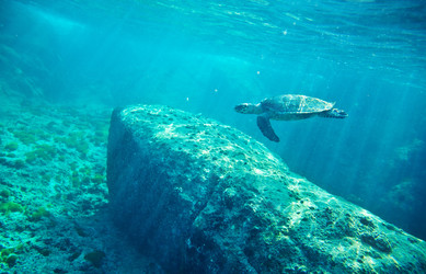 Similar image 5866921