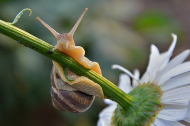 Similar image 5867089