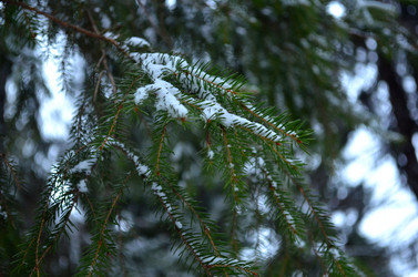 Similar image 5867107