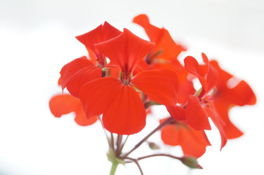 Similar image 5867147