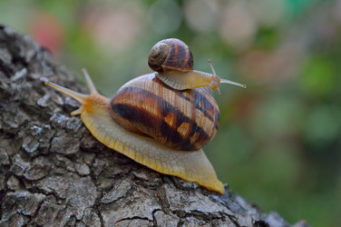 Similar image 5867149