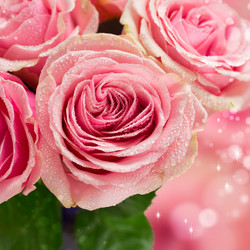 Similar image 5867207