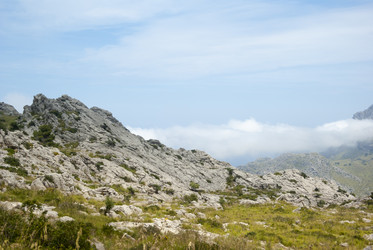 Similar image 5867295