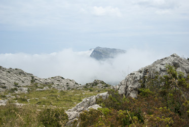 Similar image 5867299