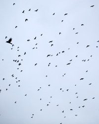 Similar image 5867363