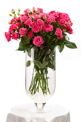 Similar image 5867447