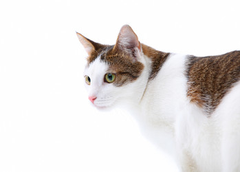 Similar image 5867468