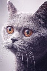 Similar image 5867490