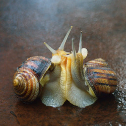 Similar image 5868192