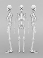 Similar image 5868205