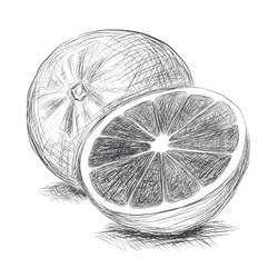 Similar image 5868220