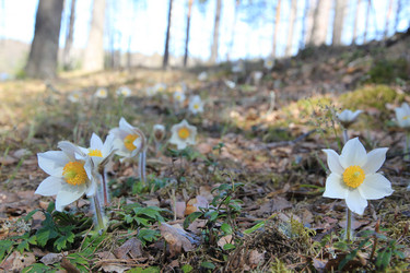 Similar image 5868307