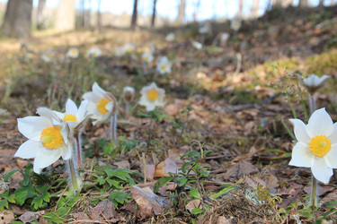 Similar image 5868310