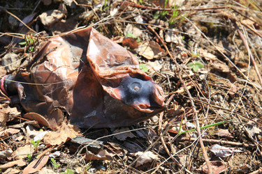 Similar image 5868311