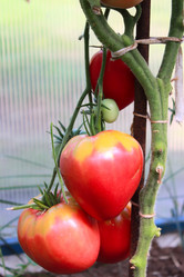 Similar image 5868322