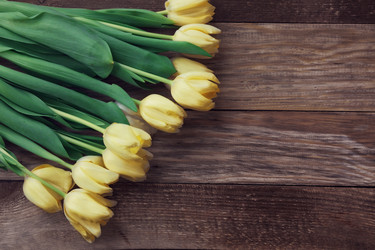 Similar image 5868379