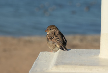 Similar image 5868945