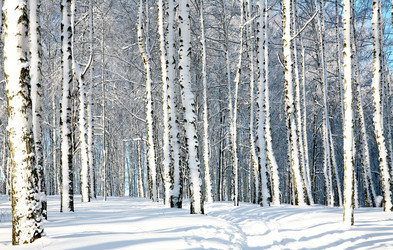 Similar image 5893619