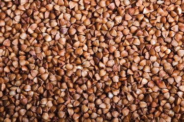 Similar image 5893647