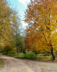 Similar image 5893695