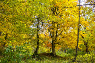 Similar image 5893696