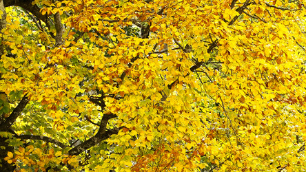 Similar image 5893697