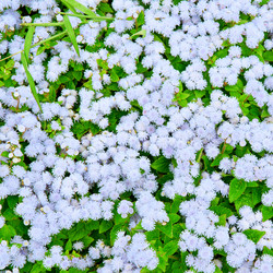 Similar image 5893732