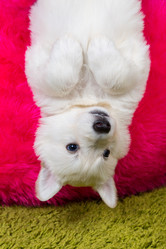 Similar image 5893745