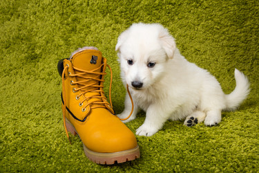 Similar image 5893746