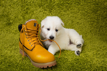 Similar image 5893747