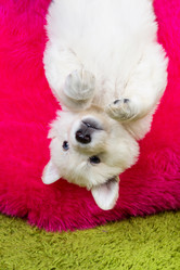 Similar image 5893749