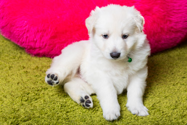 Similar image 5893750