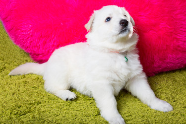 Similar image 5893751