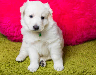 Similar image 5893752