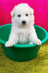 Similar image 5893754