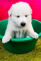 Similar image 5893755