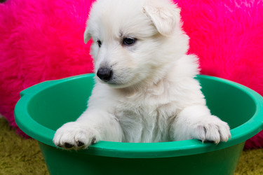 Similar image 5893756