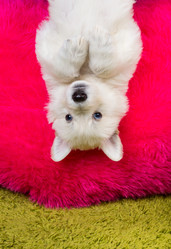 Similar image 5893757