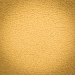 Similar image 5893823