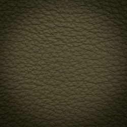 Similar image 5893839