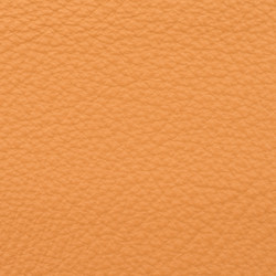 Similar image 5893849