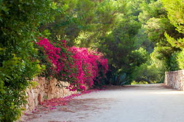 Similar image 5893883