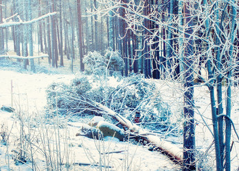 Similar image 5893929