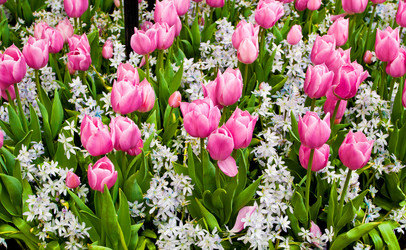 Similar image 5893946