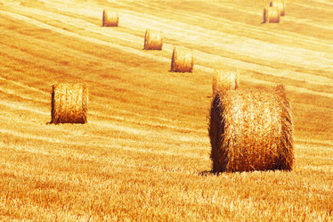 Similar image 5893952