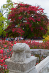 Similar image 5894093