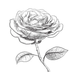 Similar image 5894746