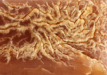 Similar image 5894767