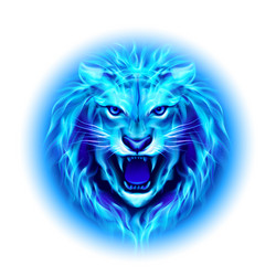 Similar image 5894811