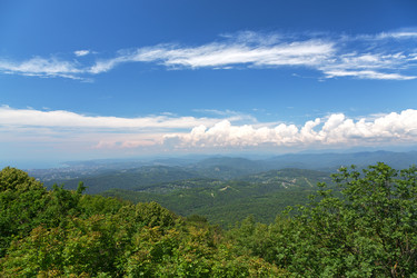 Similar image 5894927